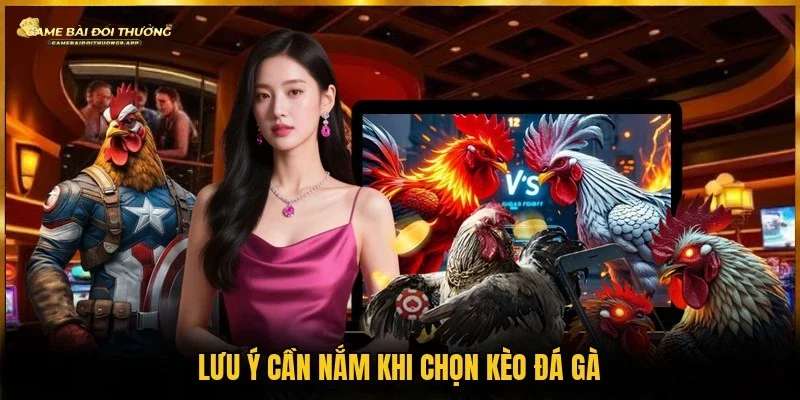 Ghi nhớ những lưu ý quan trọng để hạn chế lựa chọn sai lầm  